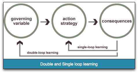 Do you know the difference between single loop and double loop learning?